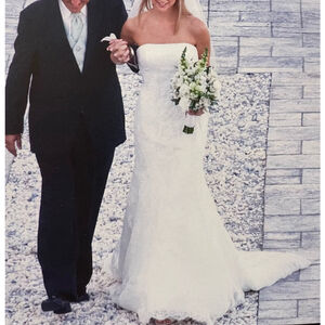 Pronovias Dafnis custom elaborately beaded strapless Wedding Dress/veil Sz 10/6